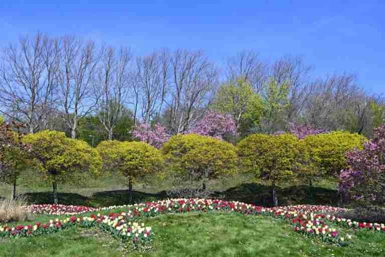 20 Most Beautiful Parks in Vienna [with Map] 2024