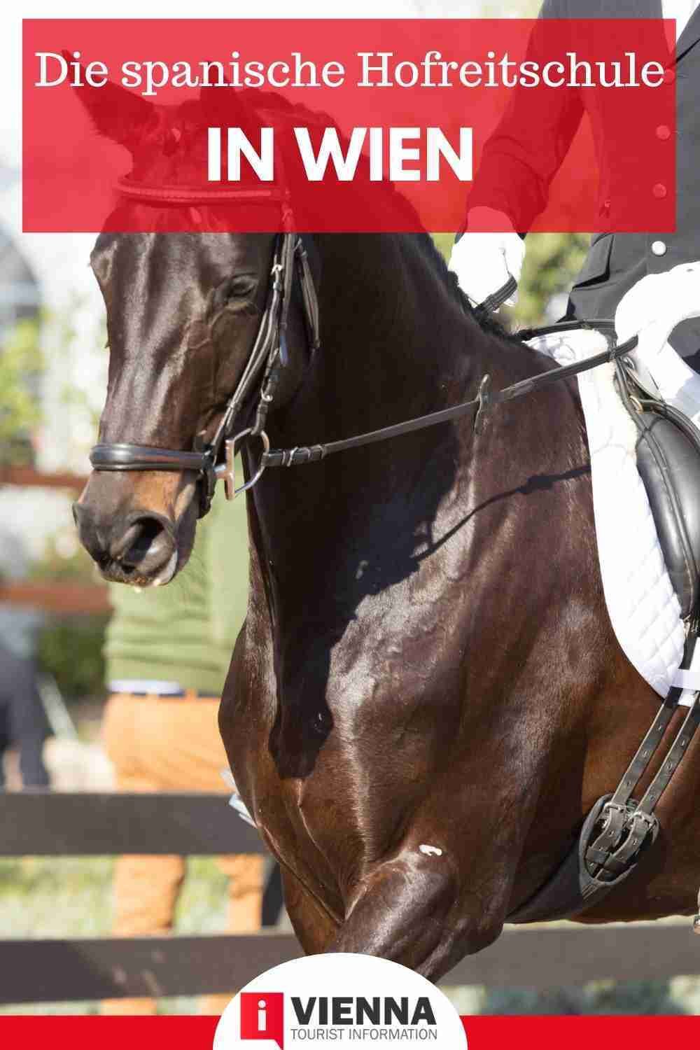 Spanish Riding School Performance, Tickets & History 2024