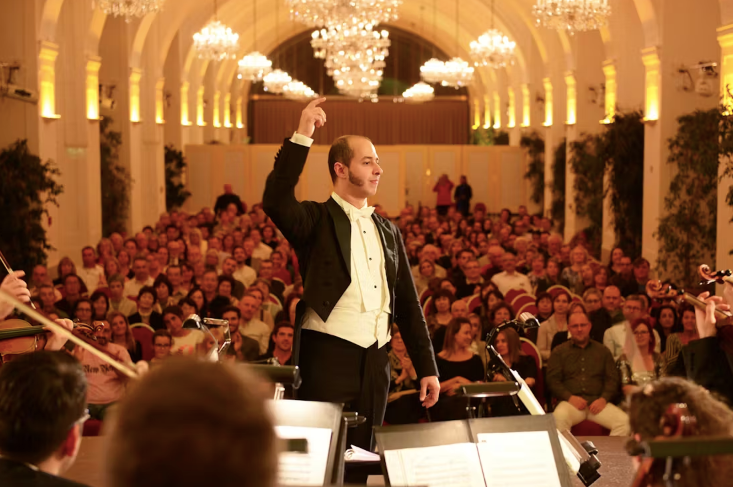 Schönbrunn Palace: Mozart & Strauss Concert, Tour & 3-Course Dinner
