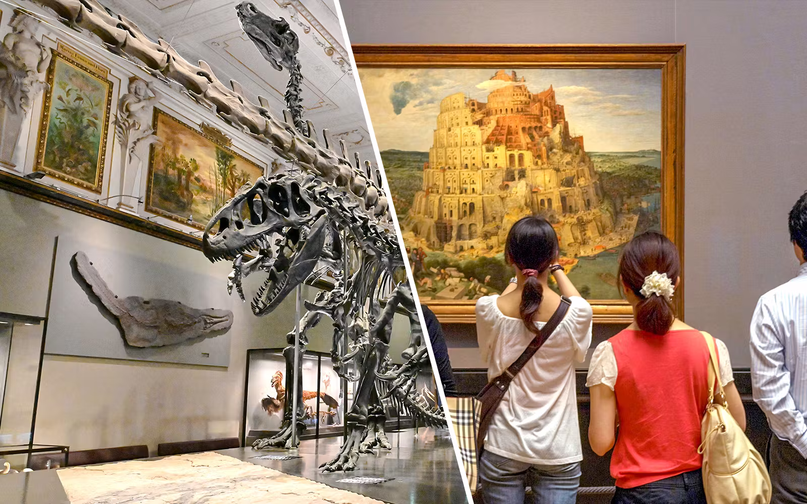 Combo (Save 6%)- Natural History Museum + Kunsthistorisches Museum Admission Ticketsota