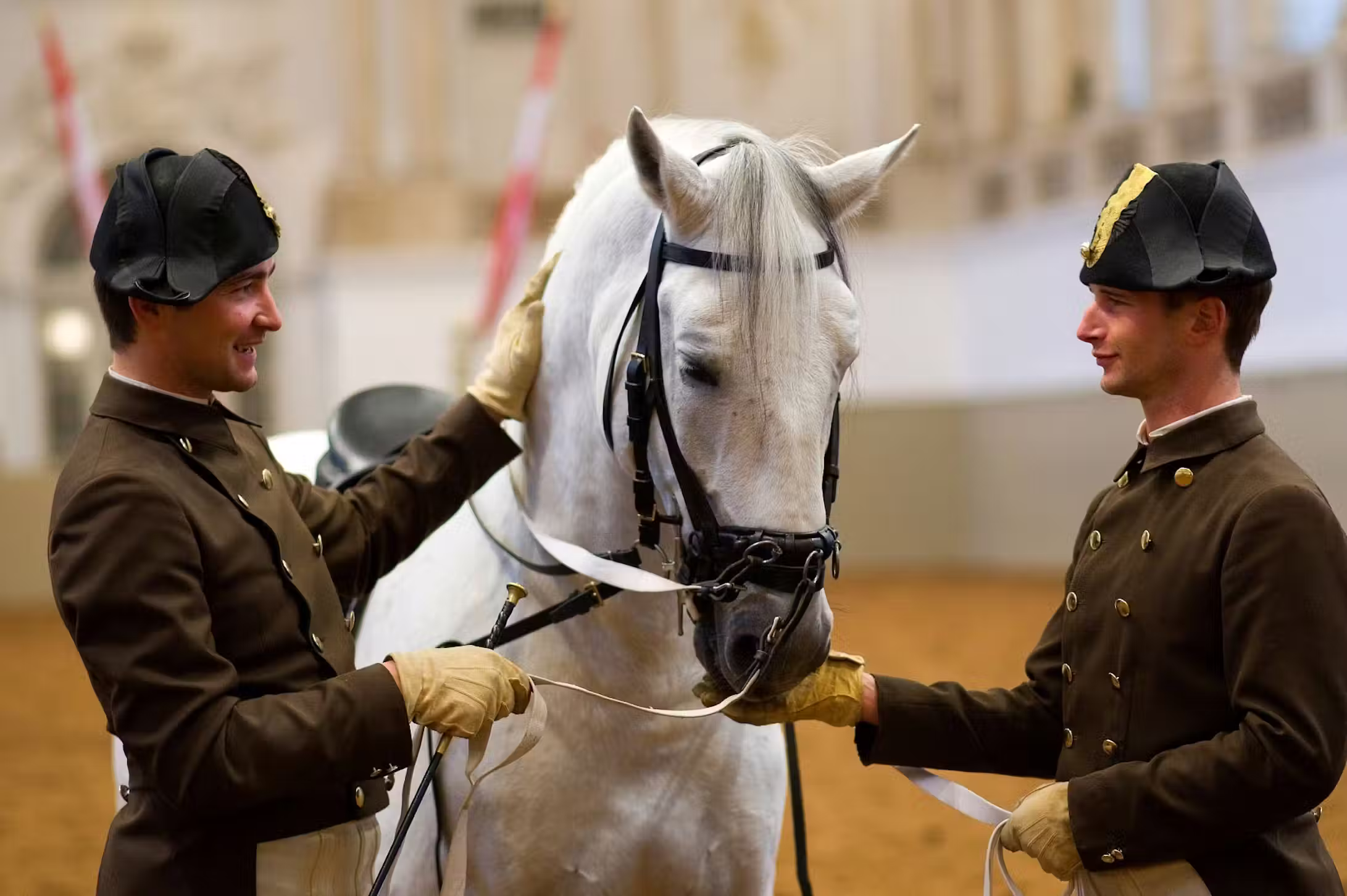 Horse Training + Schönbrunn Palace Concert ota
