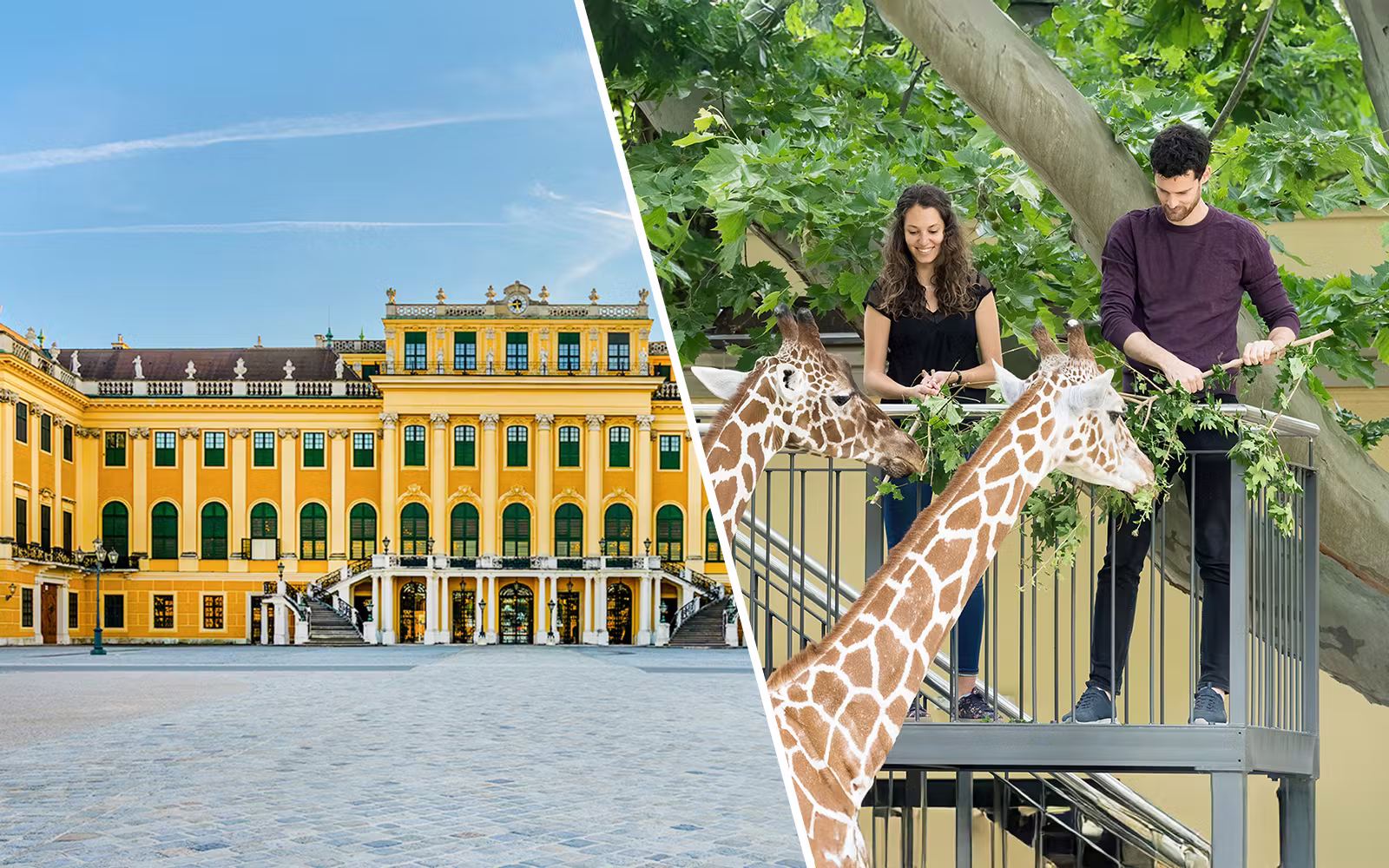 Schönbrunn Palace & Gardens Skip-the-Line Tour + Schönbrunn Zoo Skip-the-Line Ticketsota