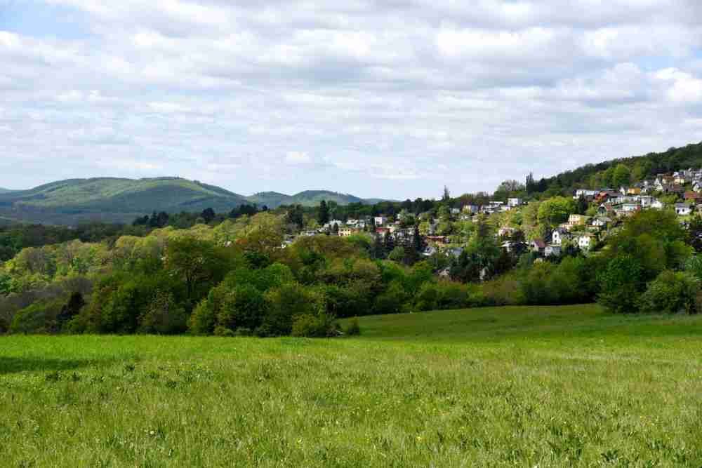 Wienerwald in Vienna in Austria