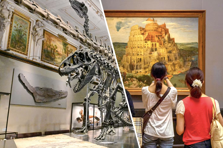 Combo (Einsparn von 8 %): Eintrittskarten für das Naturhistorische Museum + Eintrittskarten für das Kunsthistorische Museum Wien